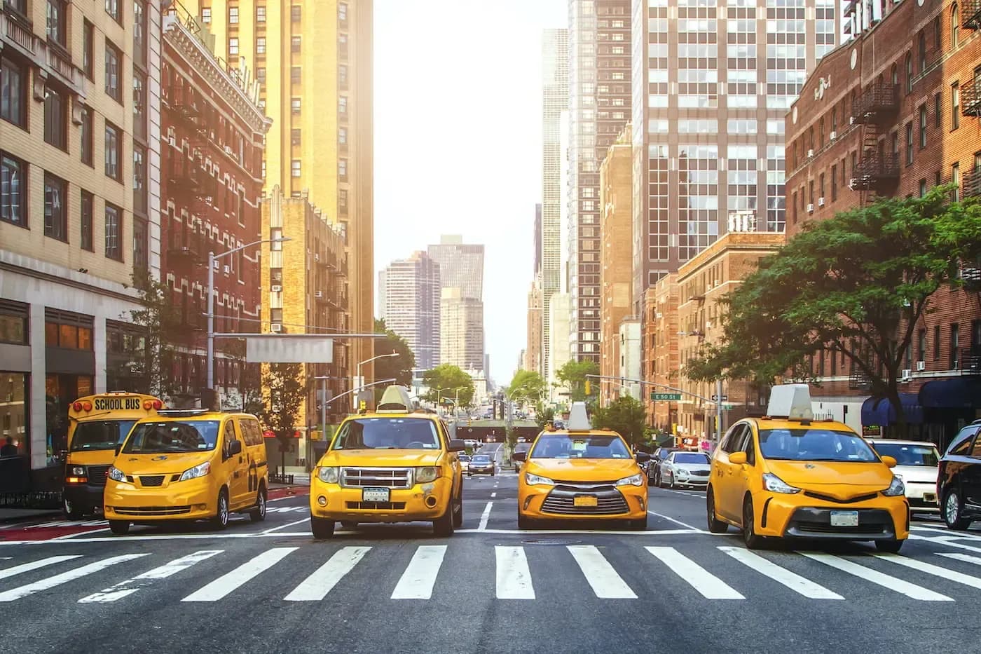 Taxis amarillos alineados frente a un cruce peatonal en una concurrida calle de la ciudad de Nueva York, rodeada de edificios altos